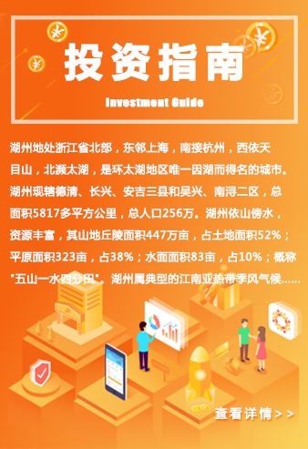 描述